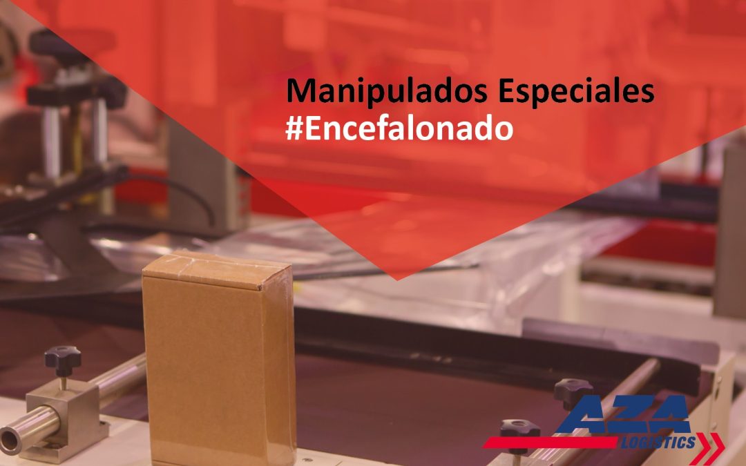 Manipulados especiales: Encefalonado